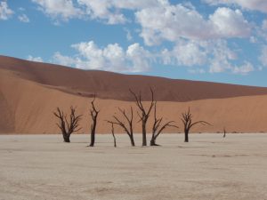 Sossusvlei