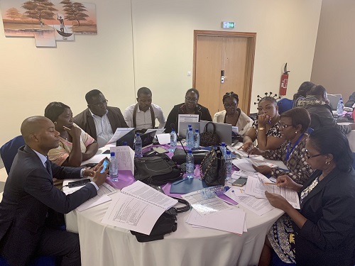 Kulima facilitating validation workshop for the ECOWAS Disaster Risk Reduction Gender Strategy and Action Plan