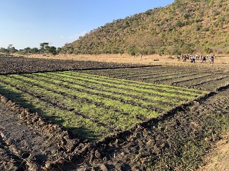 New report-Enabling climate science use to better support resilience and adaptation practice-with inputs from Kulima